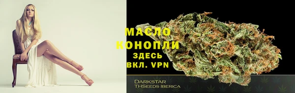 метадон Гусев