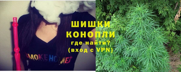 метадон Гусев